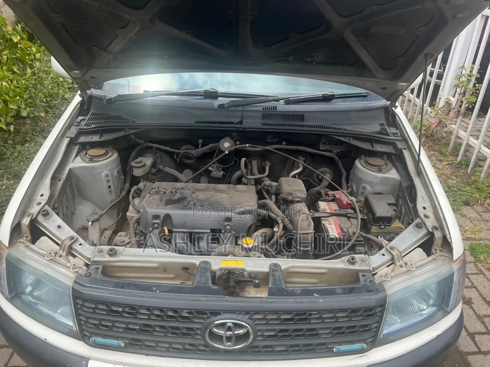 Toyota Probox 2012 White