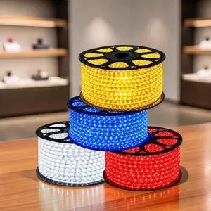 Accent Lighting 50Meter Outdoor Snake Light With Connector
