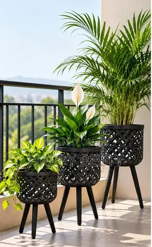 BohoBlack- Rattan Plant Stand Set of 3