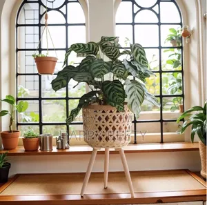 BohoBlack- Rattan Plant Stand Set of 3