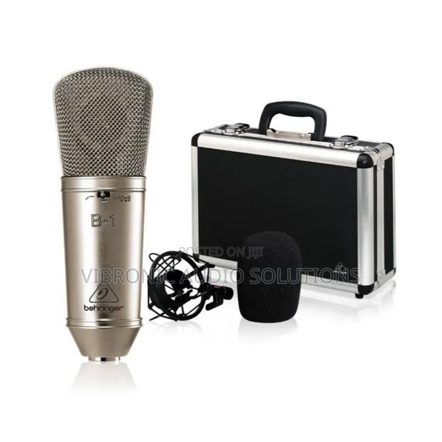 Behringer B-1 Gold-Sputtered Large-Diaphragm Studio Condenser - main view