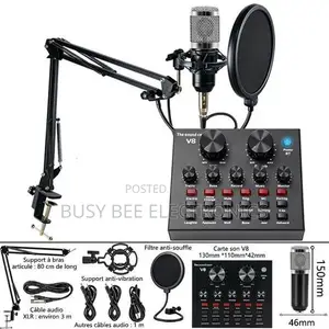 V8 Live Streaming Mic Kit – Bluetooth Noise Reduction Voice Changer