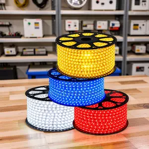 Wall Lighting 50Meter Outdoor Snake Light With Connector