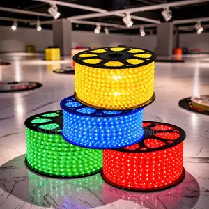 Signboard Lighting 50Meter Outdoor Snake Light With Connector