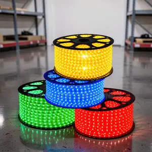 Commercial Lighting 50Meter Outdoor Snake Light With Connector
