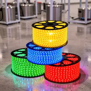 Party Lighting 50Meter Outdoor Snake Light With Connector