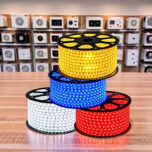 Festival Lighting 50Meter Outdoor Snake Light With Connector