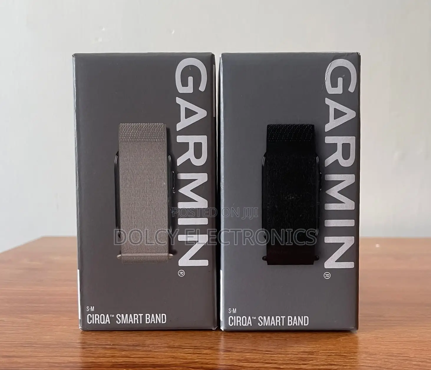 Garmin Cirqa Smartband