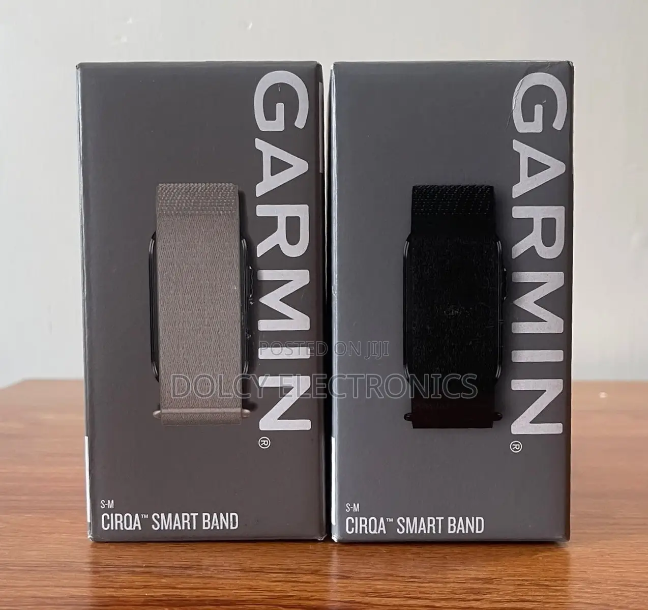 Garmin Cirqa Smartband