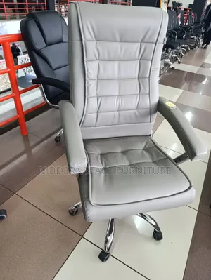 Gray Executive Office Chair