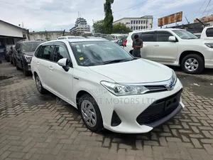 Toyota Corolla Fielder 2019 White