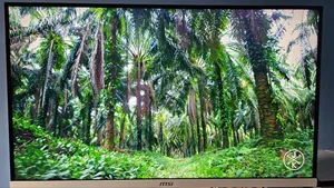 Msi Mag 274urfw 4k Monitor 160hz