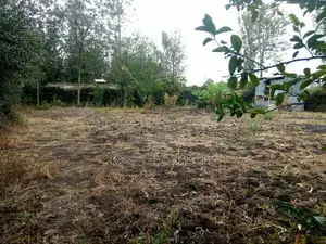 1/2 Acre Plot With 3 B/Rm Farmhouse for Sale in Kandisi, Ongata Rongai