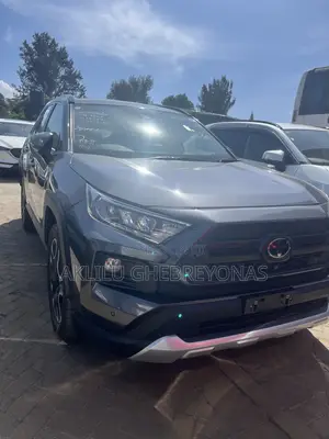 Toyota RAV4 Adventure AWD 2020 Gray