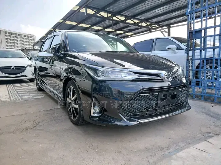 Toyota Axio 2019 Black