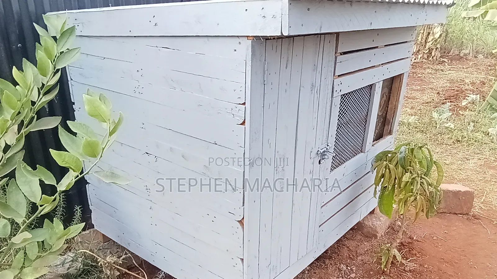 Dog Kennel