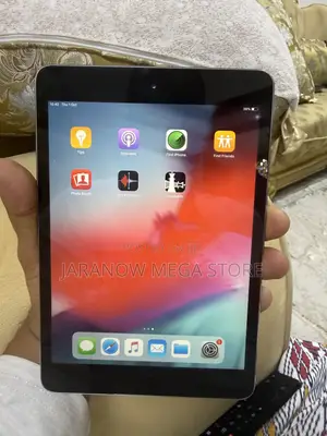 Apple iPad mini 2 32 GB Gray
