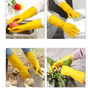 Household Gloves