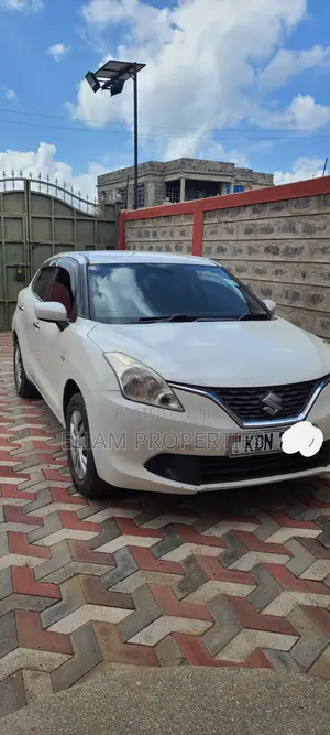 Suzuki Baleno 2016 Pearl