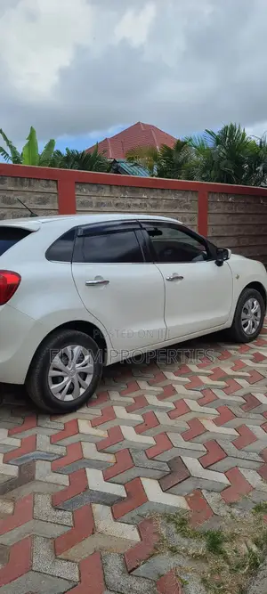Suzuki Baleno 2016 Pearl