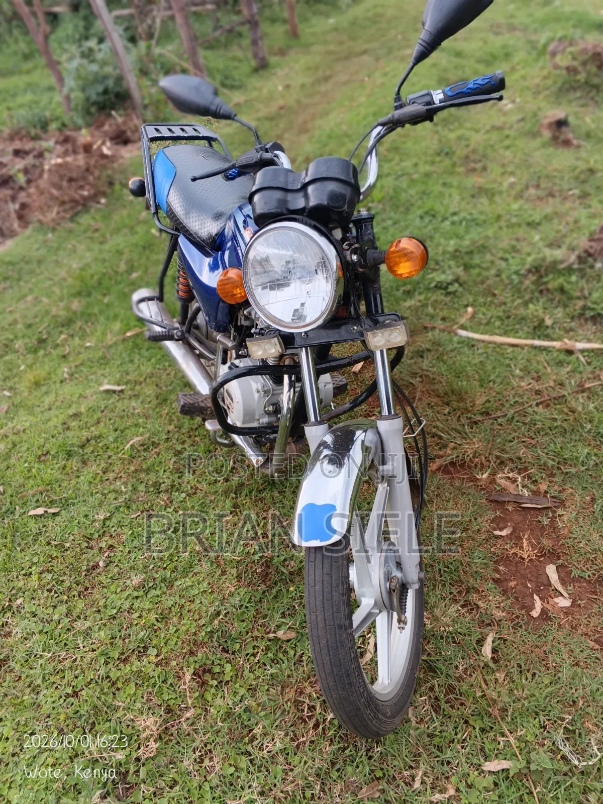 Bajaj Boxer 100 2024 Blue
