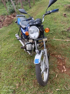 Bajaj Boxer 100 2024 Blue