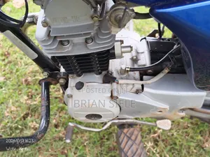 Bajaj Boxer 100 2024 Blue