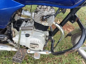 Bajaj Boxer 100 2024 Blue