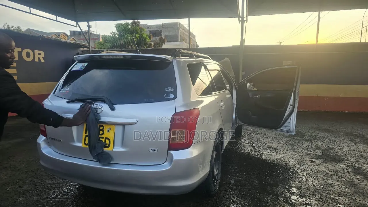 Toyota Corolla Fielder 2008 Silver