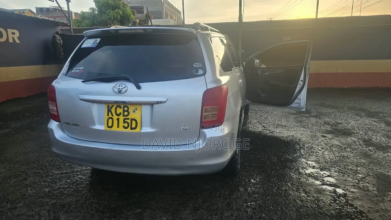 Toyota Corolla Fielder 2008 Silver