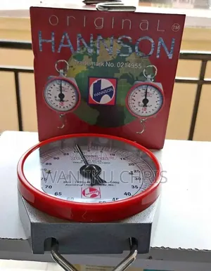 Hanson Hanging Scale 100kgs