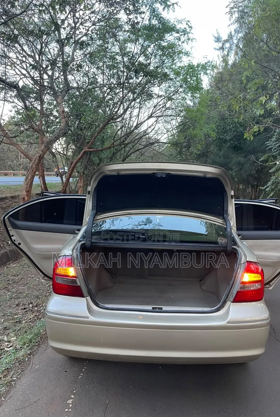 Toyota Premio 2006 Beige