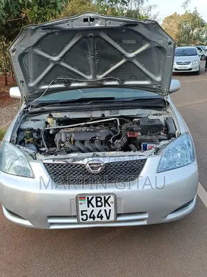 Toyota Corolla RunX 2004 Silver