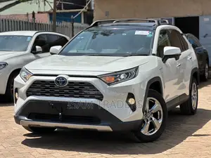 Toyota RAV4 XLE Premium AWD 2019 Pearl
