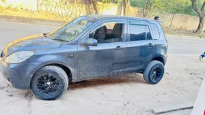 Mazda Demio 2007 Gray