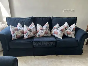 Gently Used Sofa