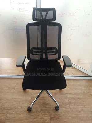Office Seat Orthopedic