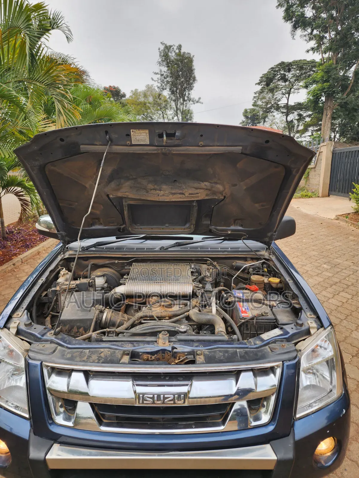 Isuzu D-MAX 2010 Blue