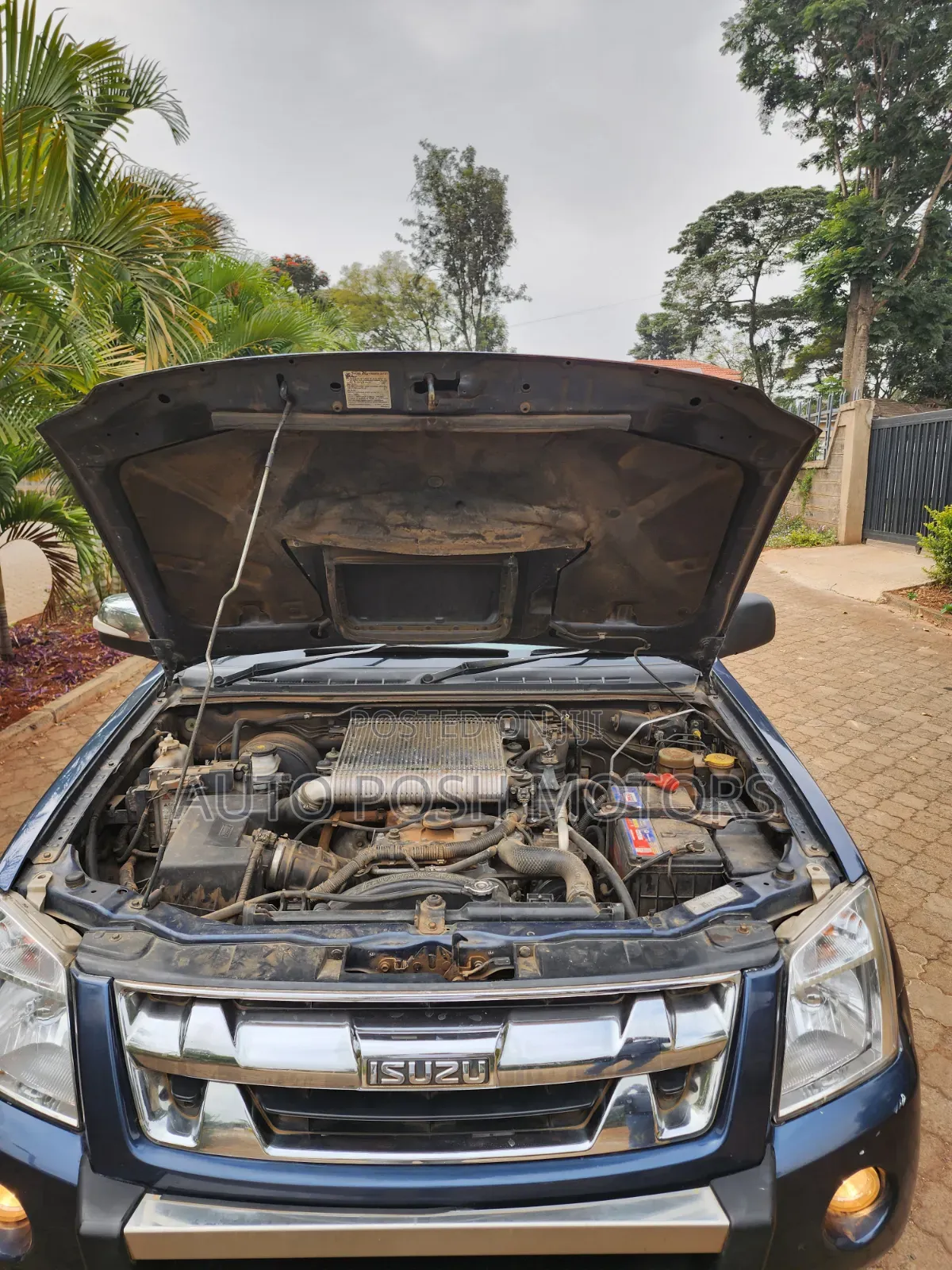 Isuzu D-MAX 2010 Blue