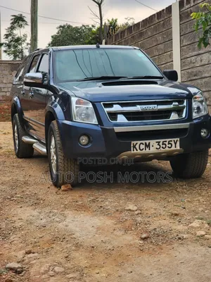 Isuzu D-MAX 2010 Blue