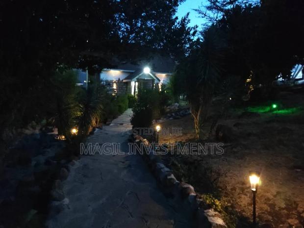 Solar Garden Lights - thumbnail 2