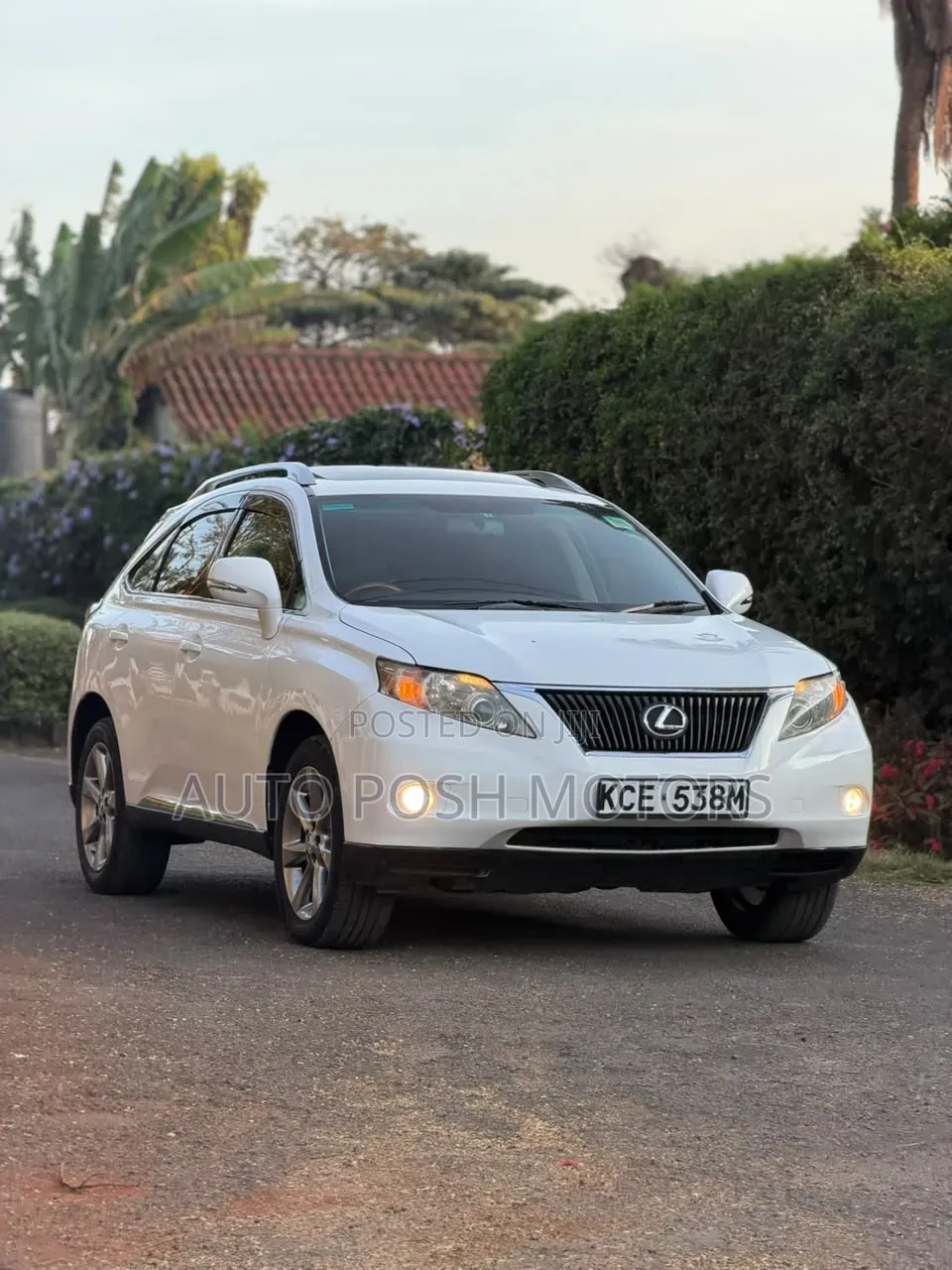 Lexus RX 2010 White