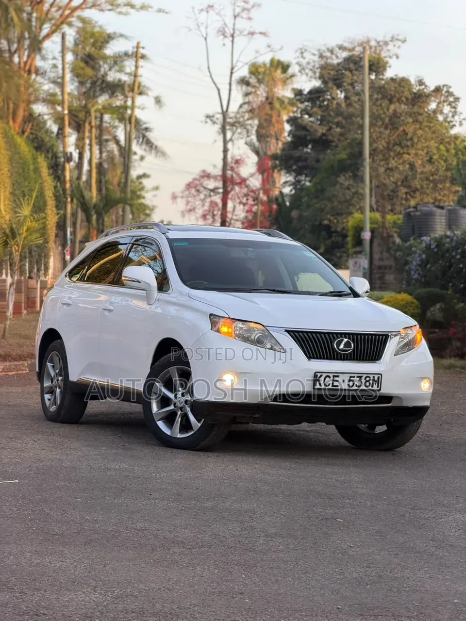 Lexus RX 2010 White