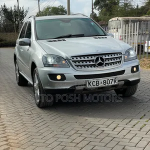 Mercedes-Benz M Class 2009 Silver