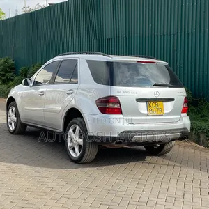 Mercedes-Benz M Class 2009 Silver