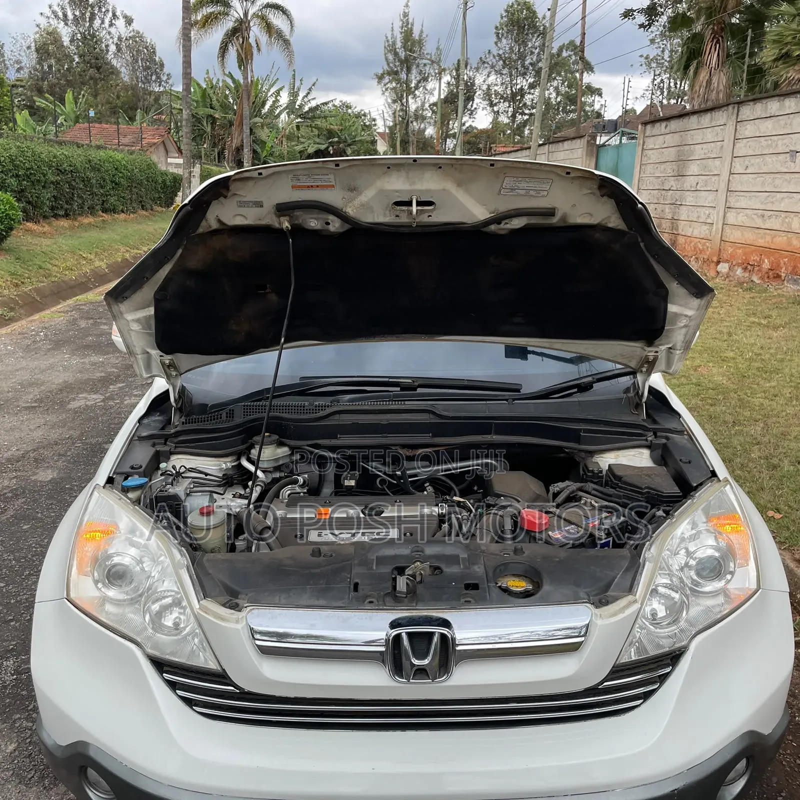 Honda CR-V 2008 White