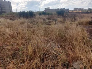 40 by 80 Plot- Juja