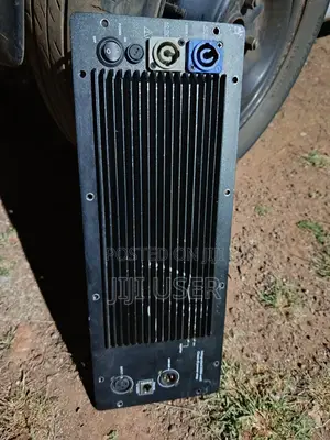 Integrated Class-D Active Speaker Amplifier Module