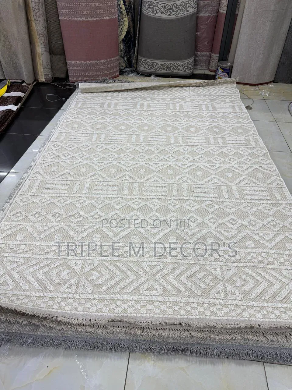 Minimalist Boho Neutral 7x10 Living Room Carpet
