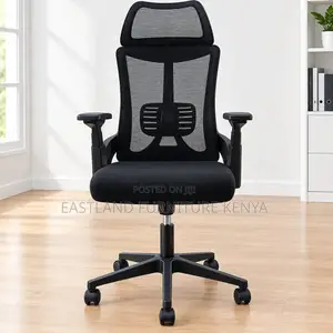 Executive Ergonomic Mesh Office Chair With Headrests